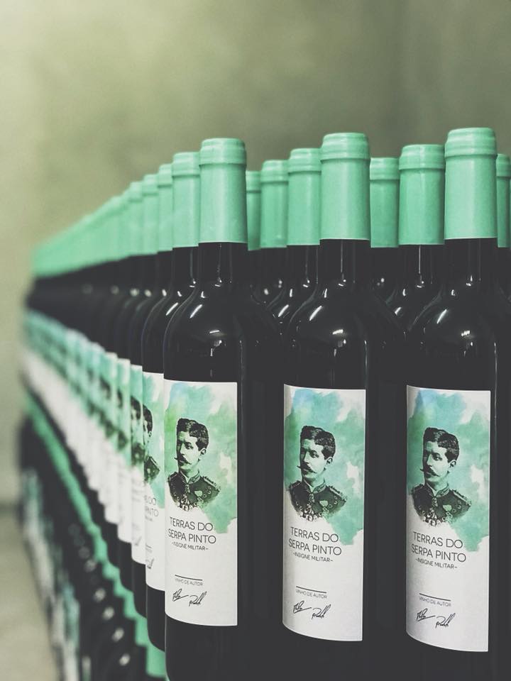 37202741_202829097095238_5067786063221620736_n