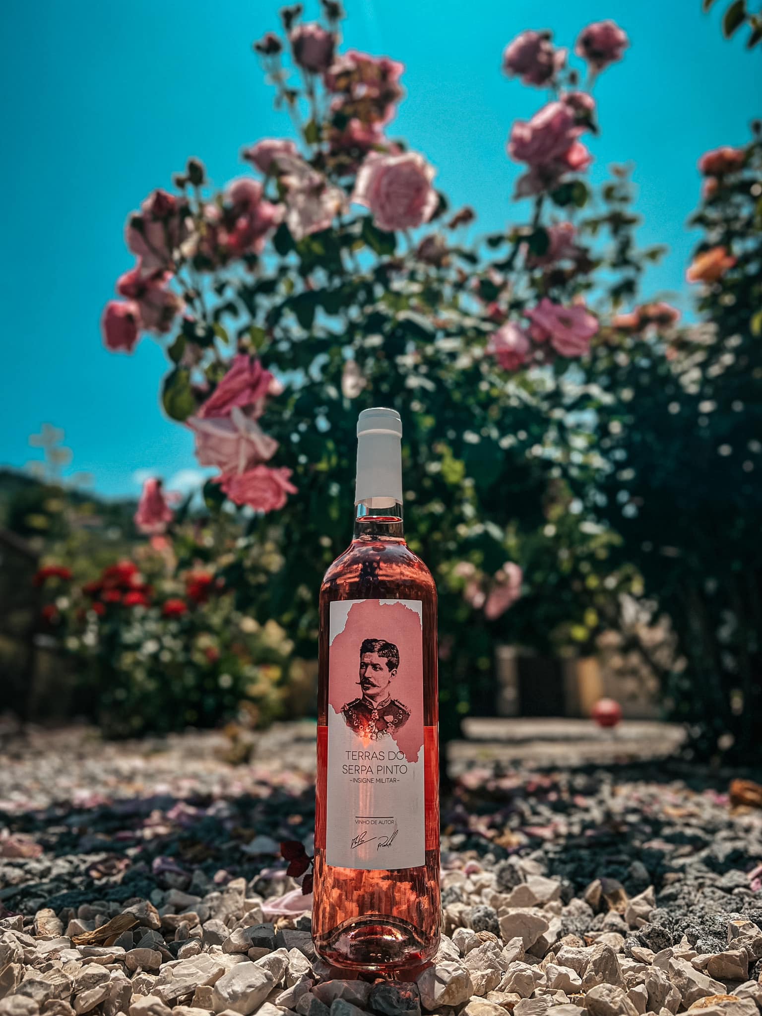 481249271_1306492767267615_818838092778076749_n