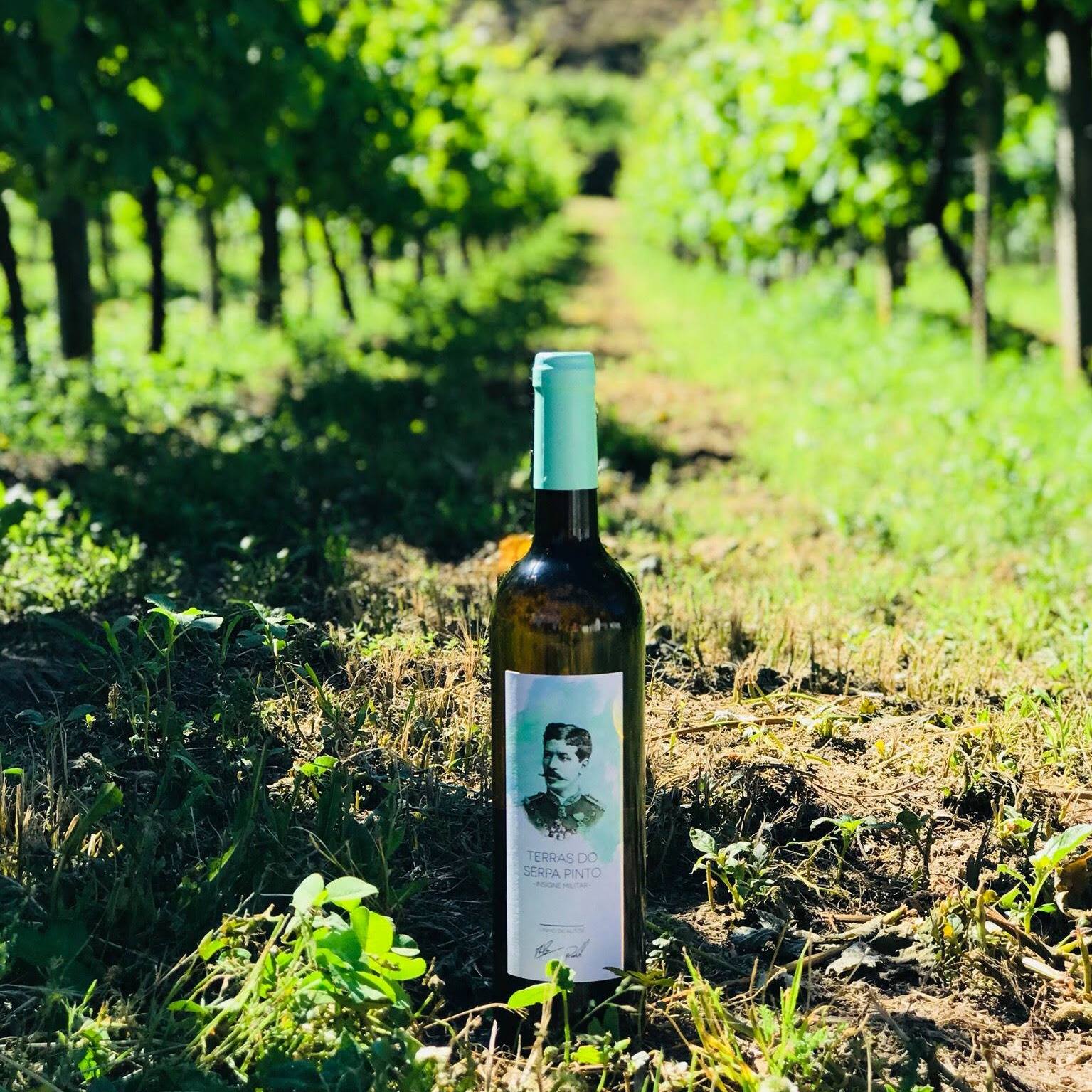 35476064_181906172520864_9124902786243231744_n