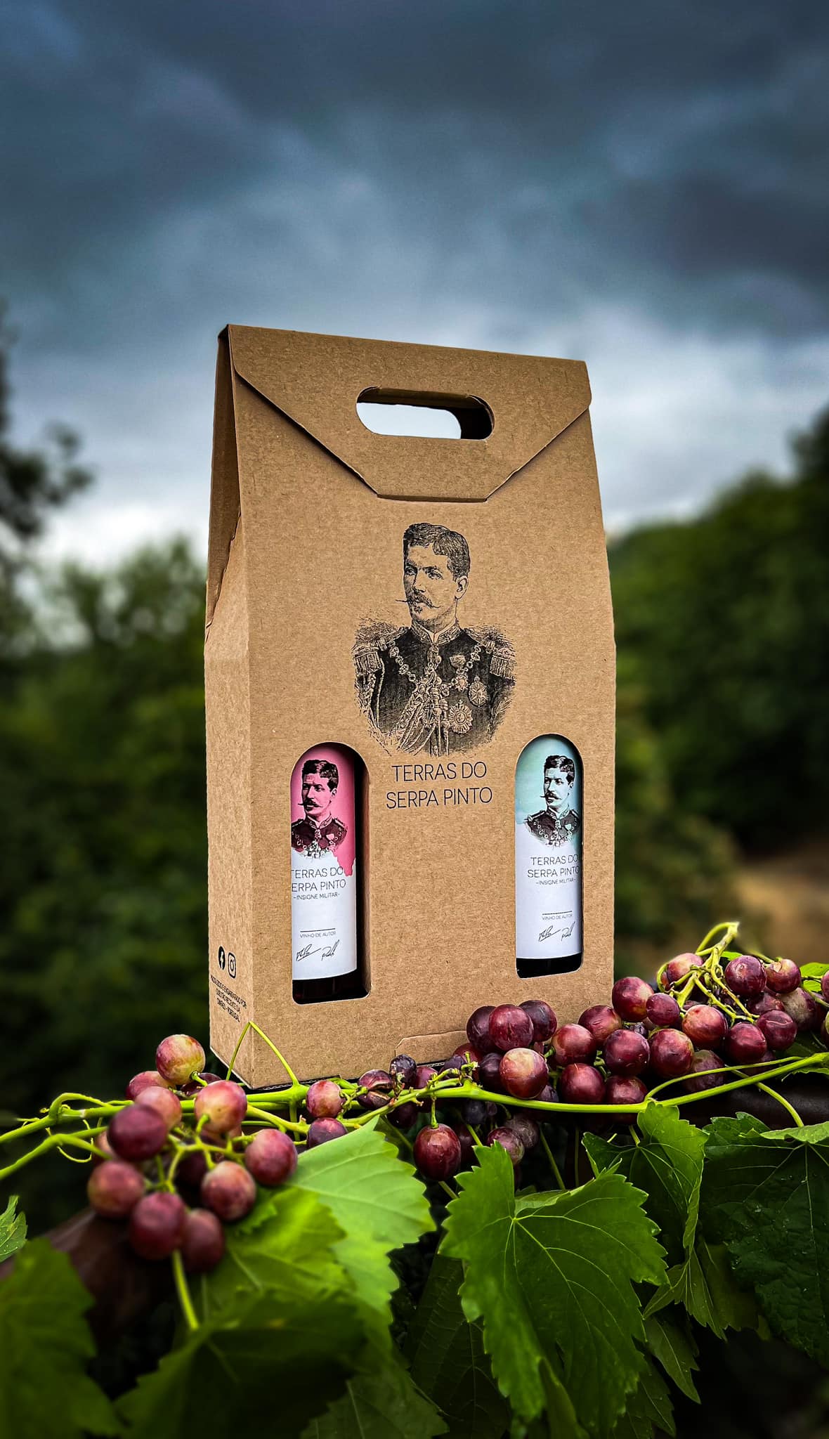 482222678_1311842976732594_6942562366905957324_n